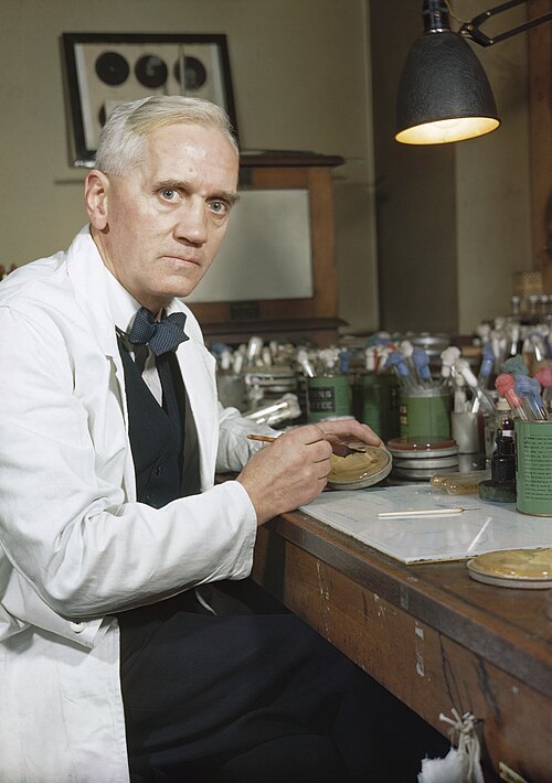Porträt von Alexander Fleming