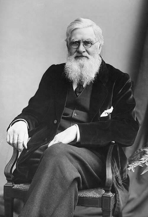 Porträt von Alfred Russel Wallace