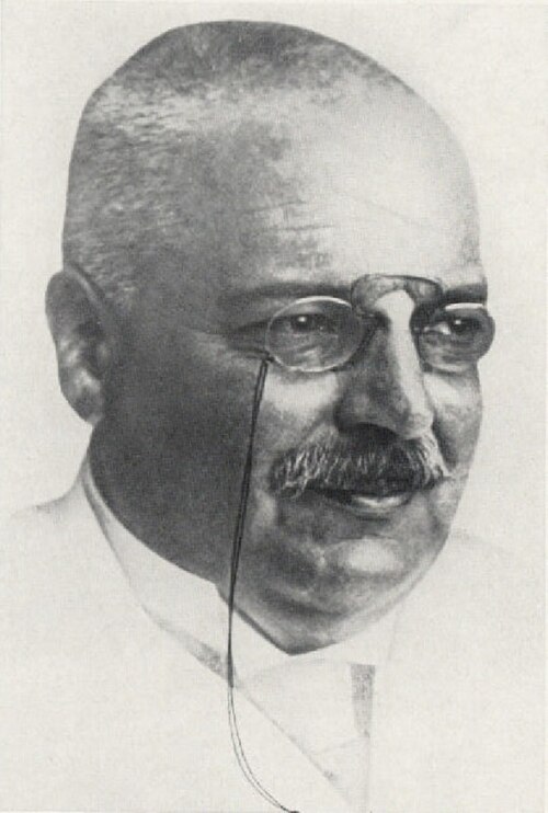 Porträt von Alois Alzheimer