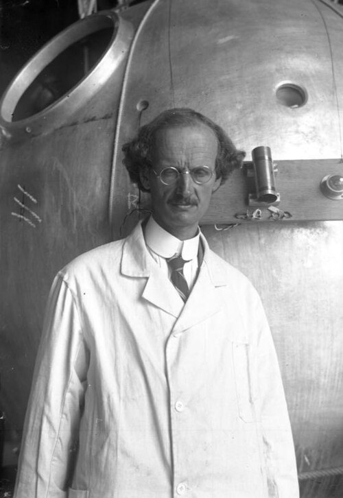 Porträt von Auguste Piccard