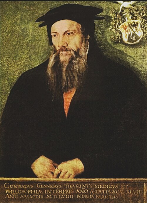 Porträt von Conrad Gessner