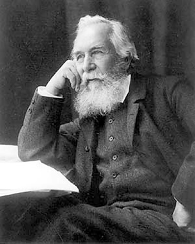 Porträt von Ernst Haeckel