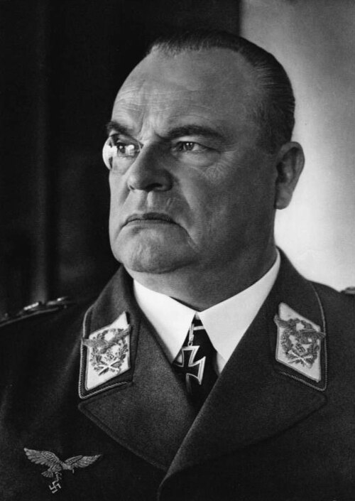 Porträt von Hugo Sperrle