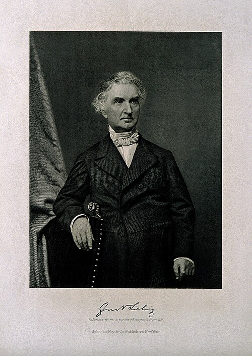 Porträt von Justus von Liebig