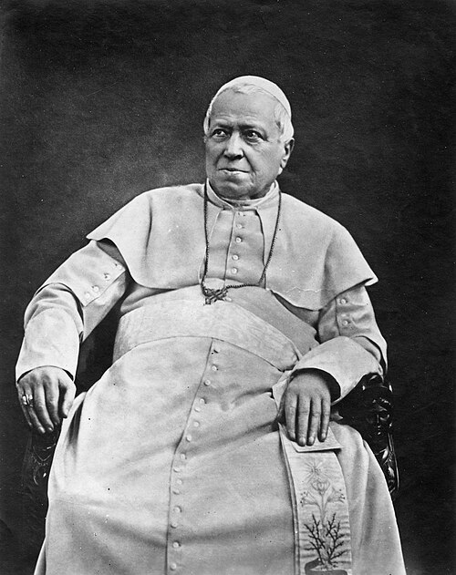 Porträt von Pius IX.