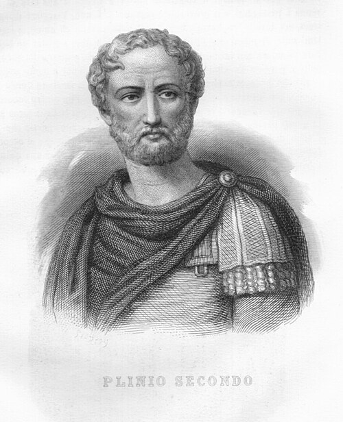 Porträt von Plinius der Ältere