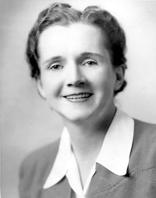 Porträt von Rachel Carson