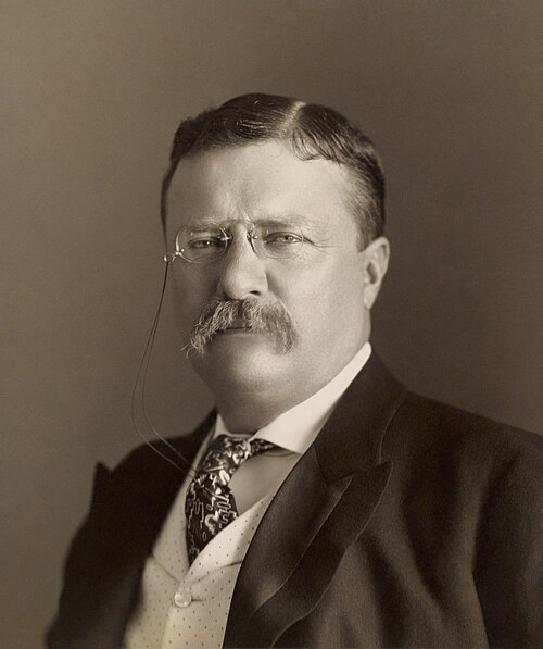 Porträt von Theodore Roosevelt