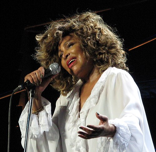 Porträt von Tina Turner