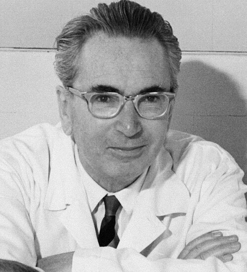 Porträt von Viktor Frankl