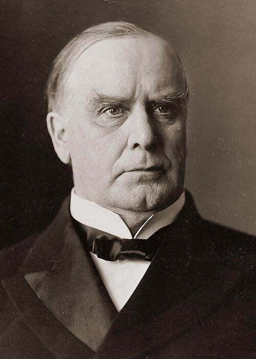 Porträt von William McKinley